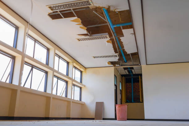 Best Professional water damage repair  in Chesapeake, VA