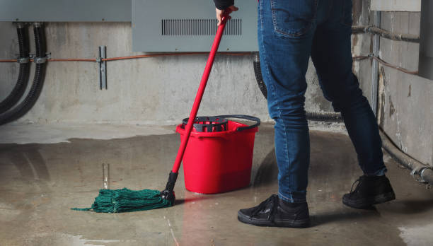 Best Carpet water damage restoration  in Chesapeake, VA