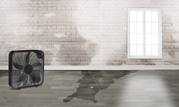 Local water damage restoration in Chesapeake, VA