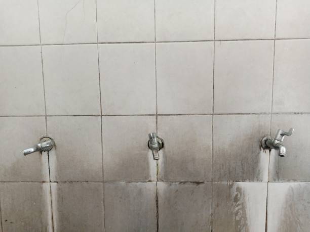Best Emergency water damage restoration  in Chesapeake, VA