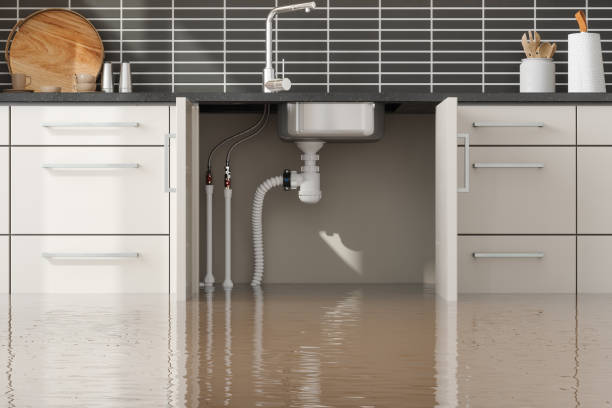 Best Residential water damage restoration  in Chesapeake, VA
